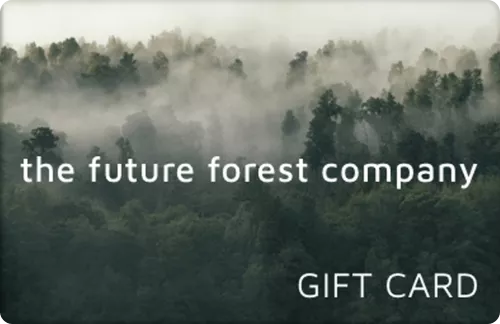 The Future Forest Company